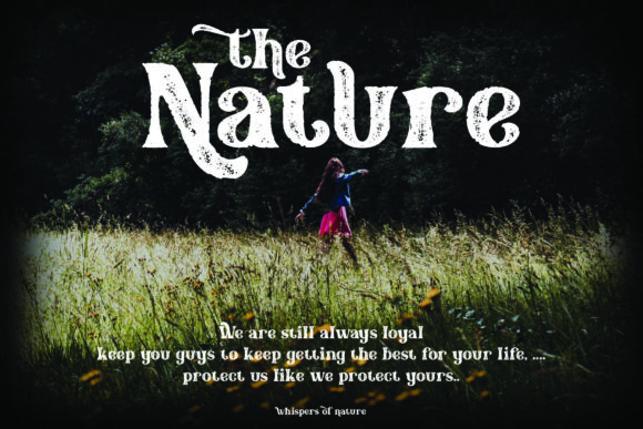 Blog Image 2