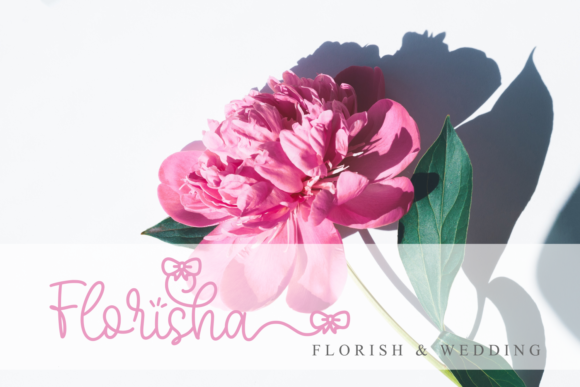 Blog Image 3
