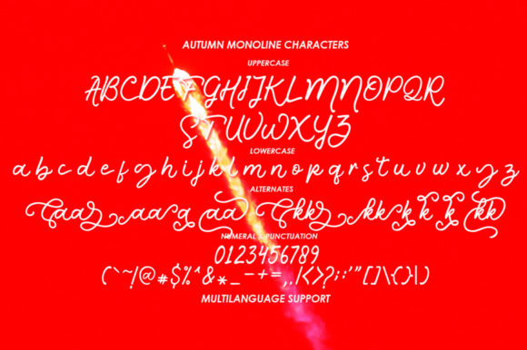 Blog Image 3