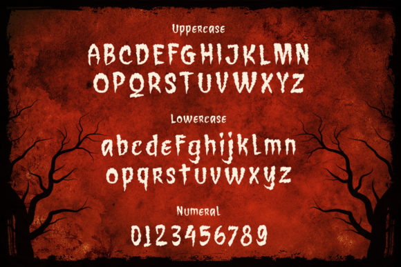 Blog Image 2
