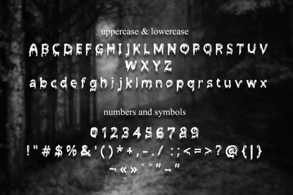 Blog Image 2