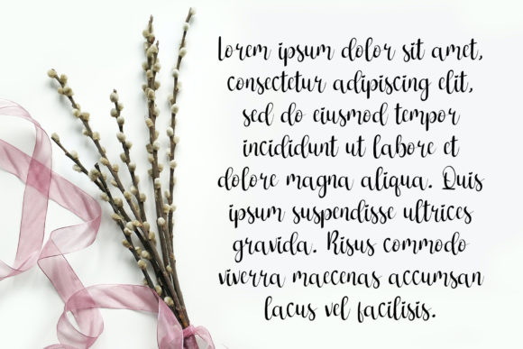 Blog Image 3