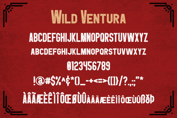 Blog Image 3