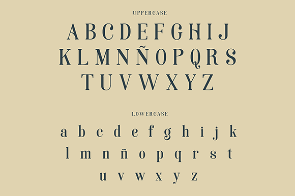 Blog Image 3