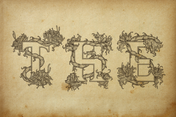 Blog Image 2
