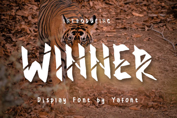 Winner Font