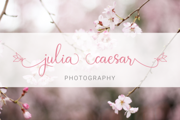 Blog Image 3