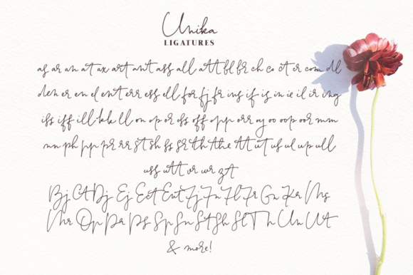 Blog Image 3