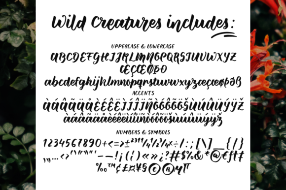 Blog Image 2