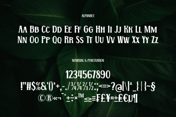 Blog Image 3