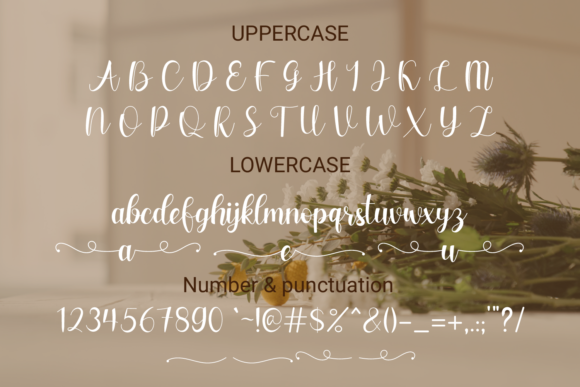 Blog Image 3
