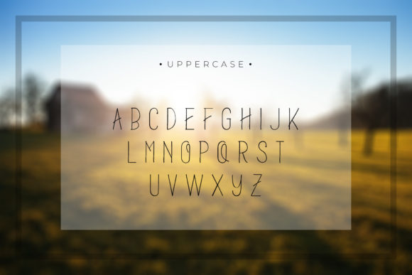 Blog Image 3