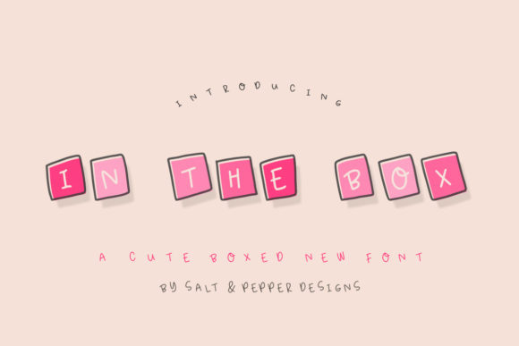 In the Box Font