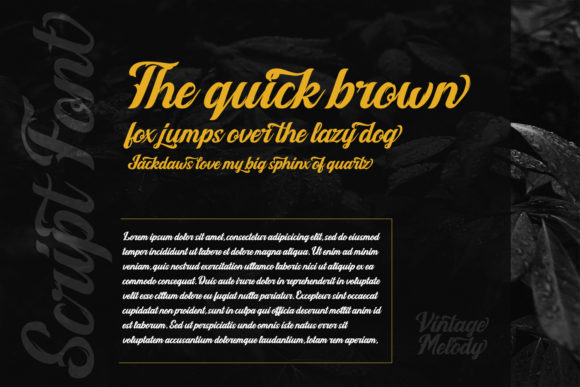 Blog Image 3