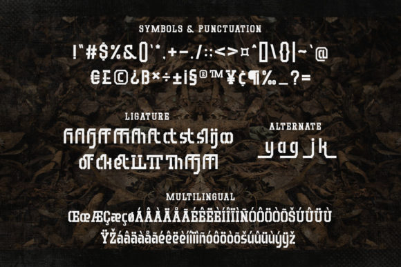 Blog Image 3