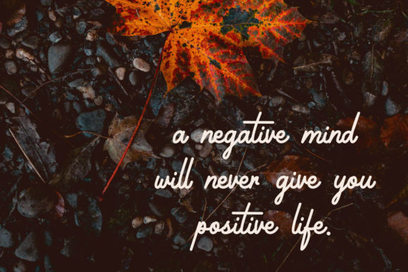 Blog Image 3