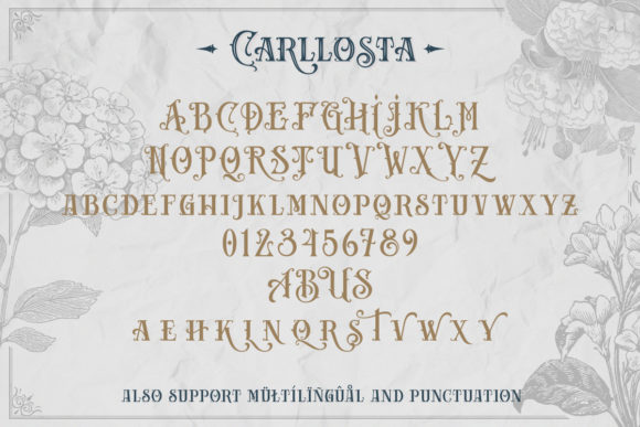 Blog Image 3