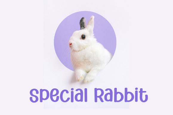 Blog Image 3