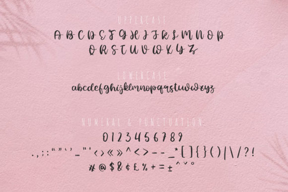 Blog Image 2