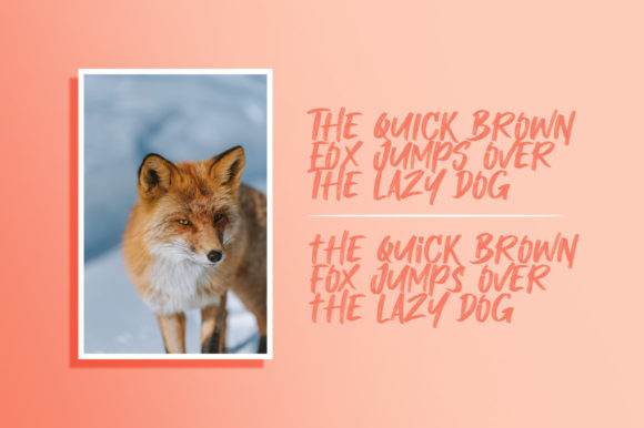 Blog Image 3