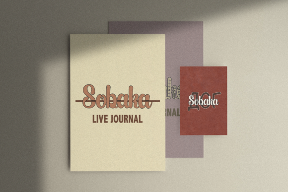 Blog Image 3