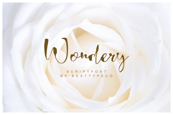 Wondery Font
