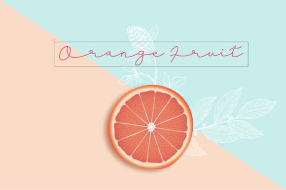 Blog Image 3