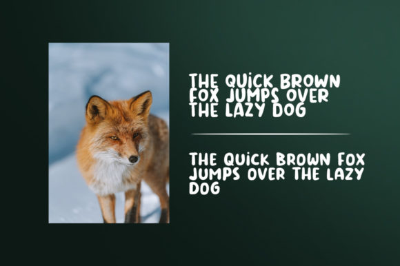 Blog Image 3