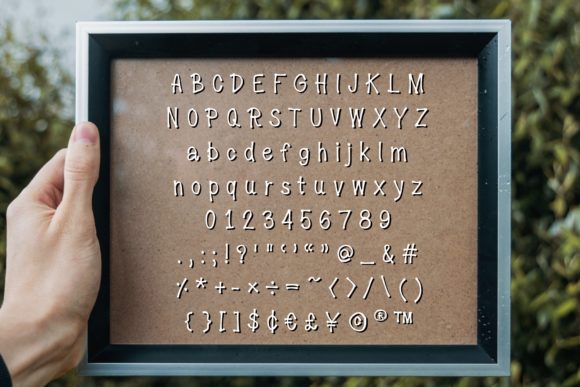 Blog Image 3