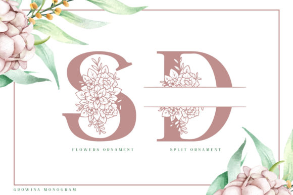 Blog Image 2