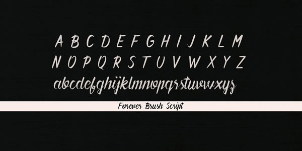 Blog Image 3