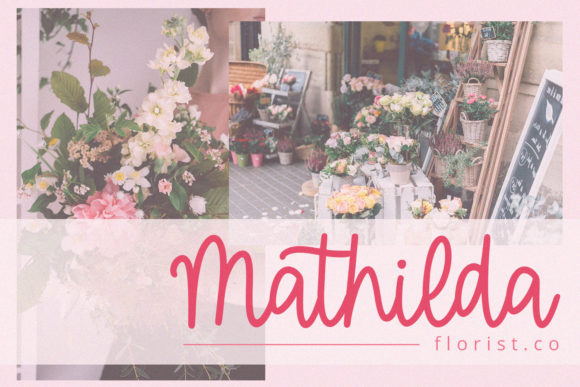 Blog Image 3