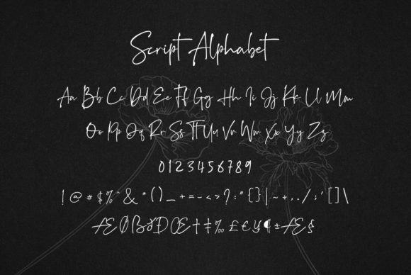 Blog Image 2