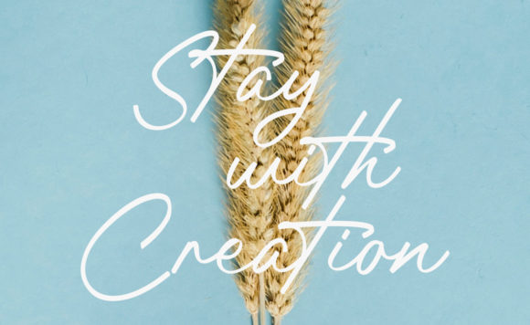 Blog Image 2