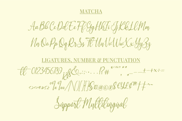 Blog Image 3
