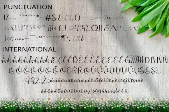 Blog Image 3