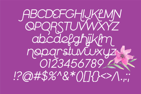 Blog Image 2