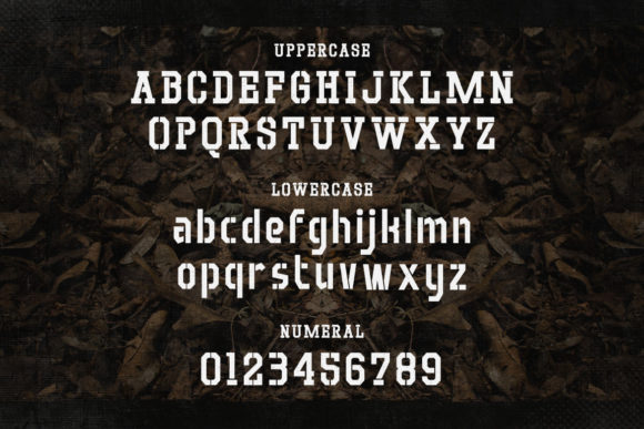Blog Image 2