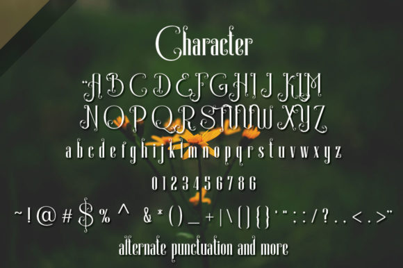 Blog Image 2