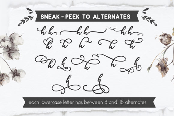 Blog Image 2