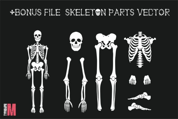 Blog Image 3