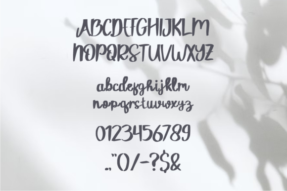 Blog Image 2