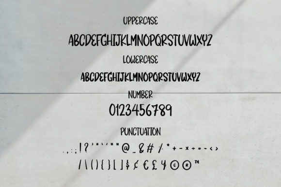 Blog Image 3