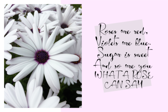 Blog Image 2