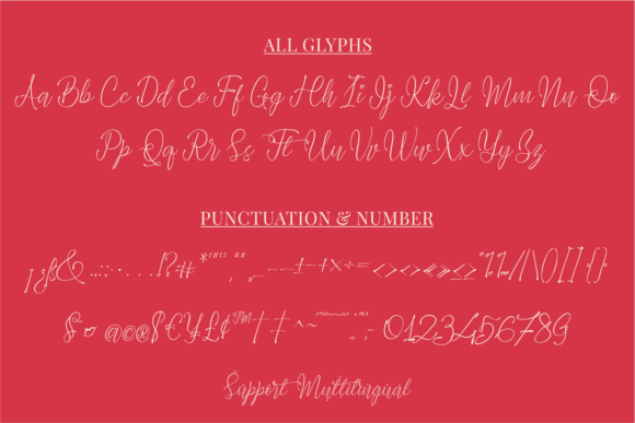 Blog Image 3