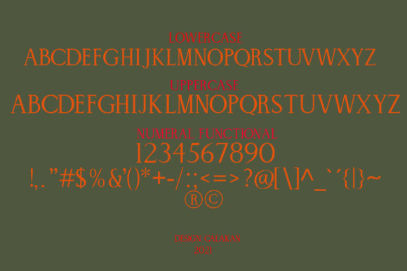 Blog Image 3