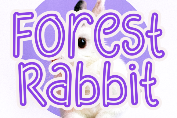 Blog Image 2