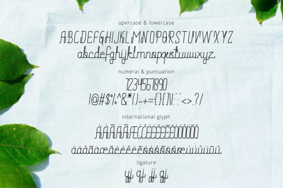 Blog Image 2