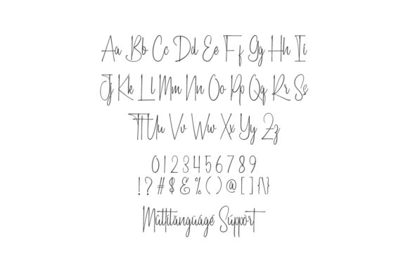 Blog Image 2