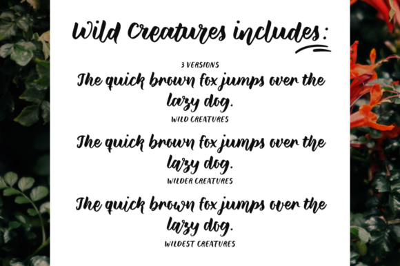 Blog Image 3